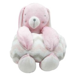 Plush Toy & Blanket – Pink