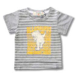 T-Shirt “Dinosaur” – Grey