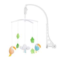 Musical Merry  – Parrots